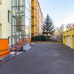 Cute Studio