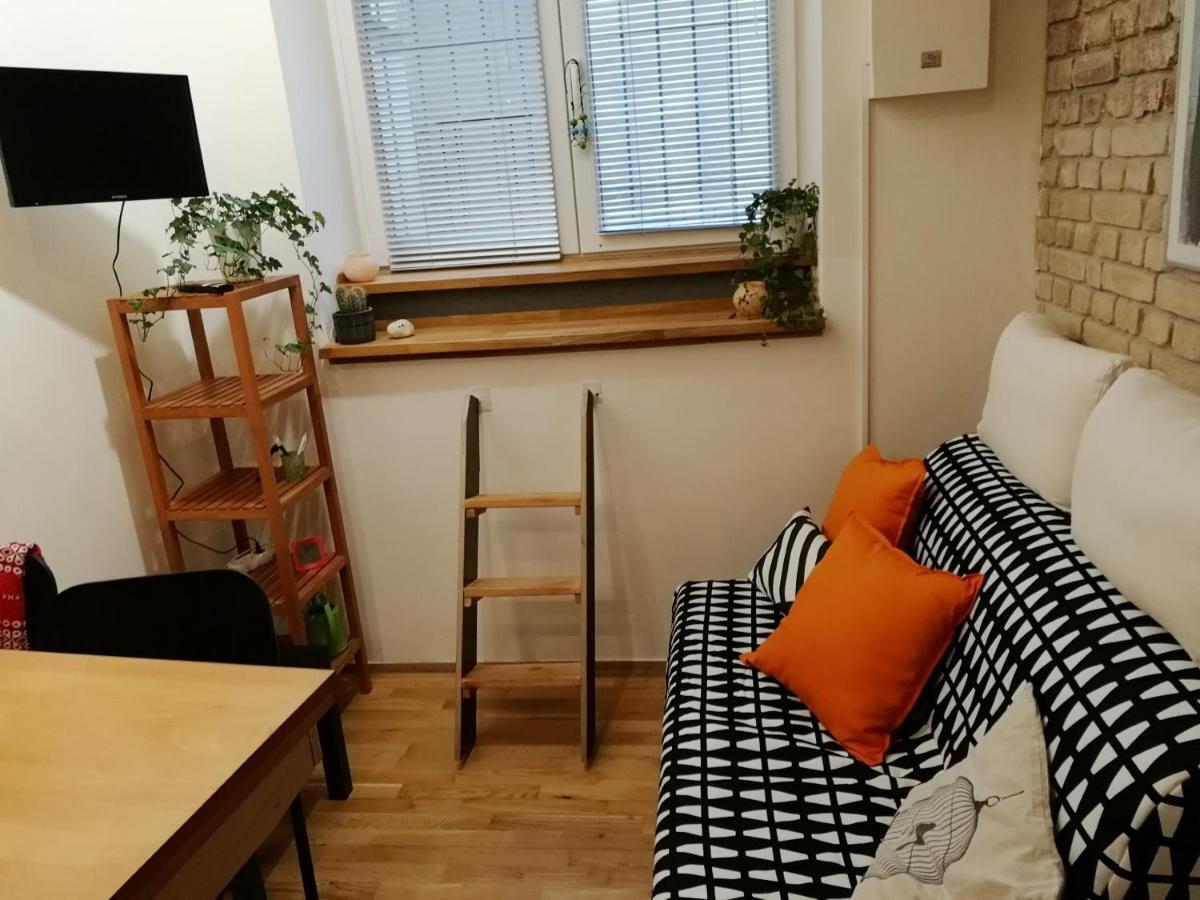 Cute Studio *